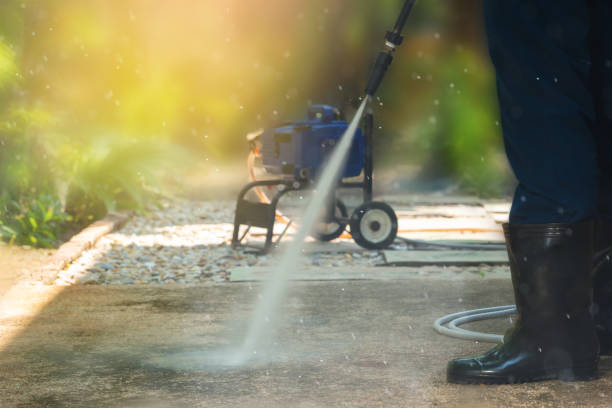 Best Driveway Pressure Washing  in Daphne, AL